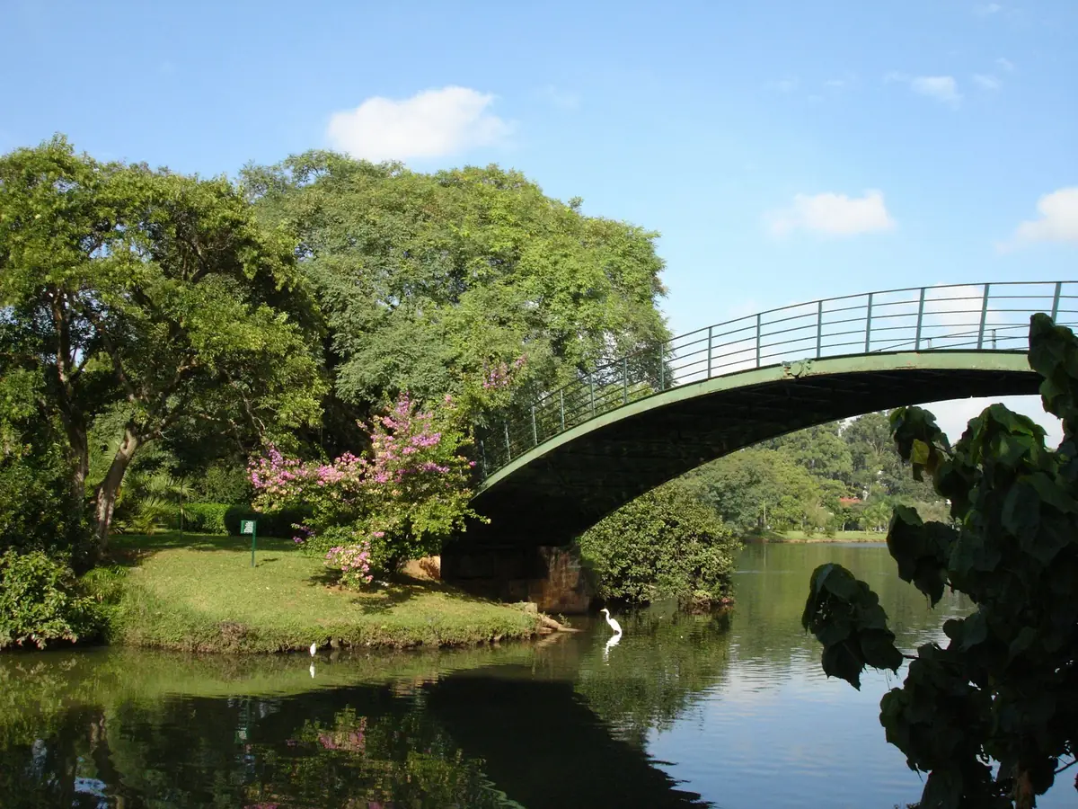 Le Six Ibirapuera - Esporte e Bem-Estar no Parque Ibirapuera: A Rotina Wellness