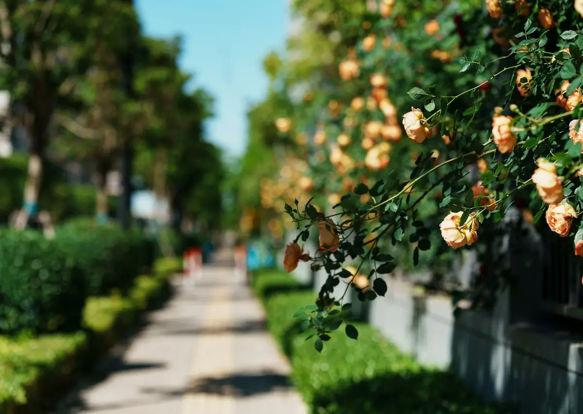 Le Six Ibirapuera - Morar em Moema: Como É o Estilo de Vida no Bairro